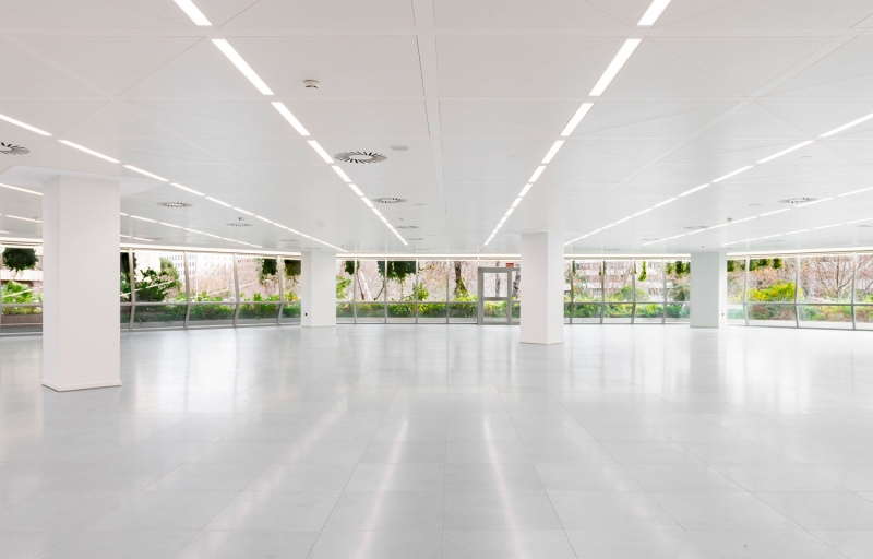 ofi_1.jpg