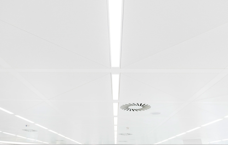 ofi_2.jpg