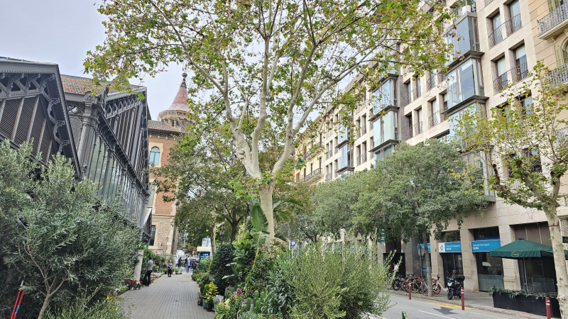 alrededores.jpg