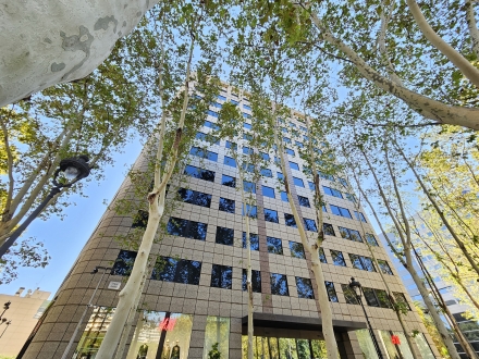 Diagonal / Numància (388 m2)