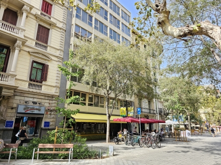 Consell de Cent / Rambla Catalunya (187m2)